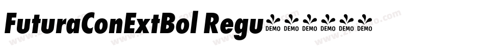 FuturaConExtBol Regu字体转换